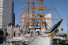 輪船游艇用密封條系列